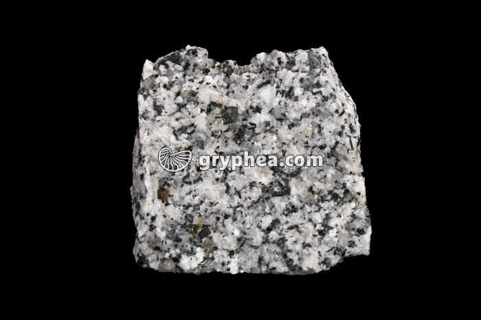 Diorite - échantillon - gryphea.com